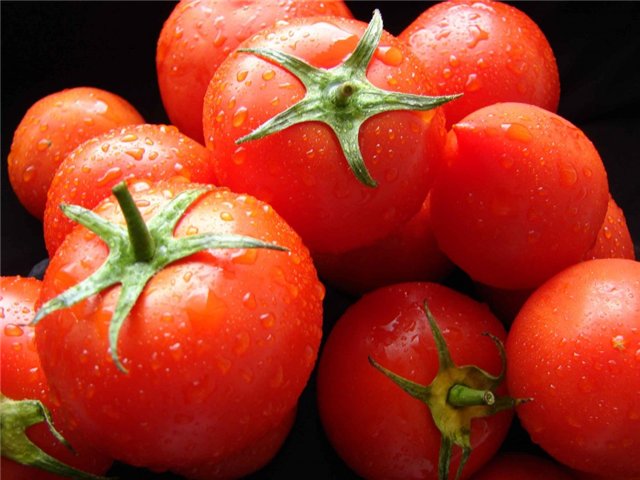 6 условий урожая томатов