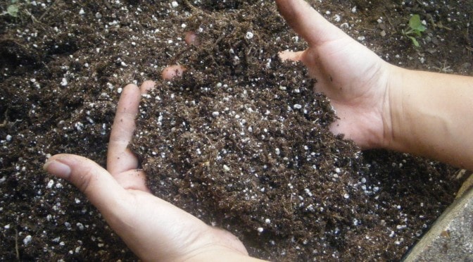 Какие удобрения использовать для обогащения почвы калием