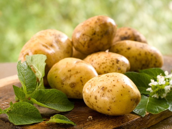 Как улучшить вкус уже растущего картофеля