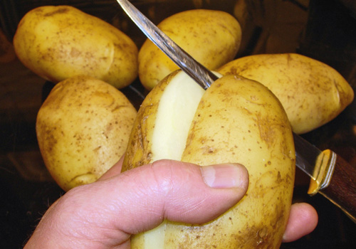 Резать картофель для посадки