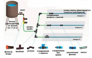 Микрокапельный полив в теплице – для чего он нужен и как его ...
