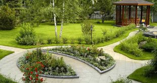 Озеленение дачного участка