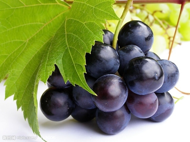 Подкормка винограда: как удобрять виноград