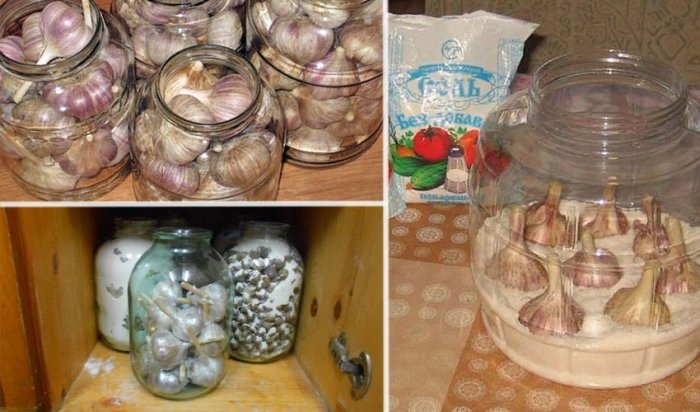 Где и как хранить чеснок в домашних условиях на зиму