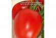 Выращиванию томатов в домашних условиях