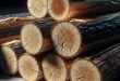 Сухие дрова камерной сушки: как выбрать и использовать