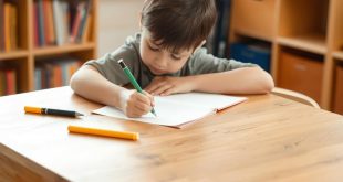 Письменный стол для школьника: как выбрать, обустроить и приучить ребенка работать с комфортом