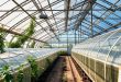 Промышленные теплицы: как выращивать урожай постоянно и с умом