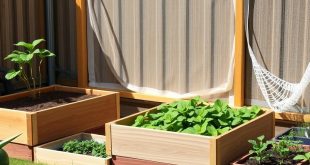 Гроубоксы: маленький сад большой свободы