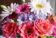 Как собрать букет живых цветов, который будет радовать дольше и говорить за вас больше слов